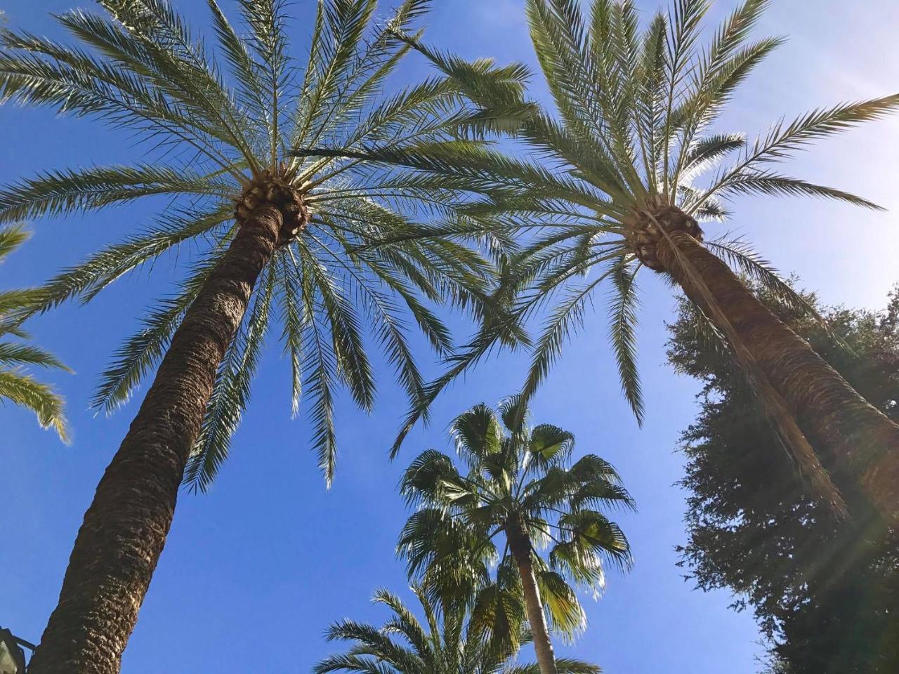 Vivaldi Boutique Jardines Del Mar Marbella